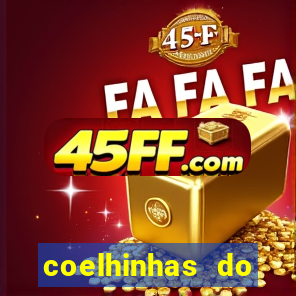 coelhinhas do brasil acompanhantes